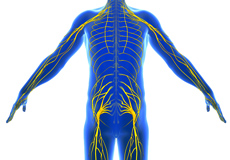 Peripheral Nerve Conditions